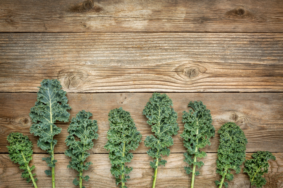 growing kale is easy