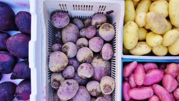 Don't Get Caught in the Cold: 6 Reasons You Want to Sign Up For a Winter CSA Share Now