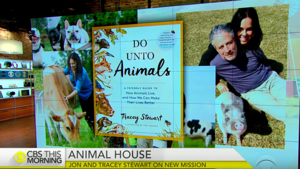 Visit Jon and Tracy Stewart on Their Incredible Animal Farm Sanctuary [Video]