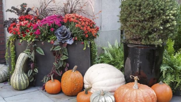 Fall Container Gardening That Celebrates the Season