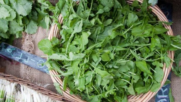 8-Tips-for-Cleaning-and-Cooking-Your-Summer-Greens_ccflcr_timsackton-