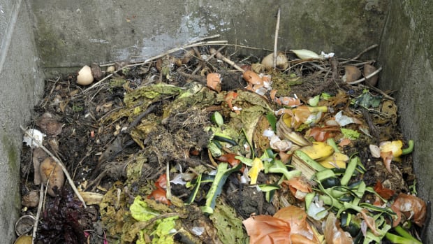 Industrial/Organic's plan could help curb NYC's food waste problem.