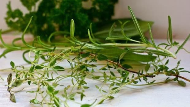 4-Ways-to-Use-Herb-Sprigs-in-The-Kitchen-Dont-Throw-Them-Away_PHOTO-REDO_ccflcr_katerha_11.4.12