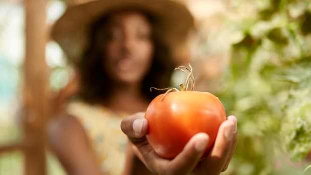 This is Why Tomatoes are Skin Superfoods