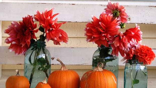 pumpkinflowers-ccflcr-hellojulie