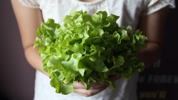 The World's Top Pharmaceutical Companies May Soon Turn to Lettuce Leaves?