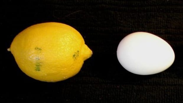 lemon_egg_jouste