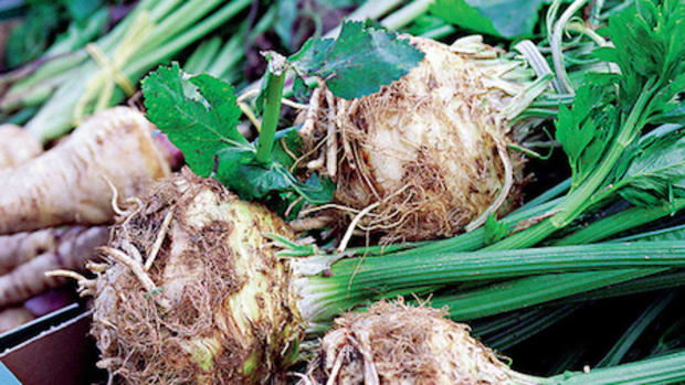 celery root benefits