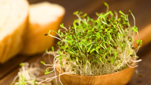 What is sprouting and how to do it yourself