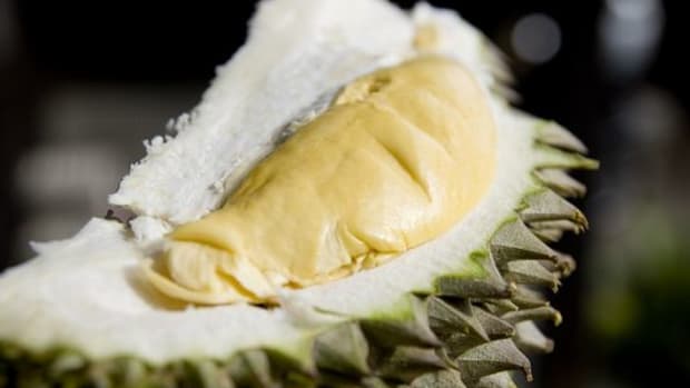 durian-ccflcr-kewynn