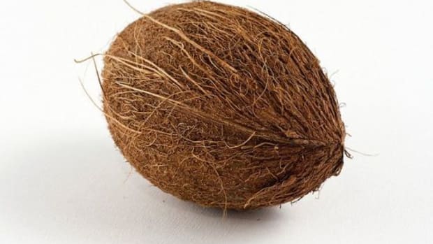 Whats-the-Difference-Between-Coconut-Cream-and-Coconut-Milk_NEW-ccflcr_-Horia-Varlan_10.02.12