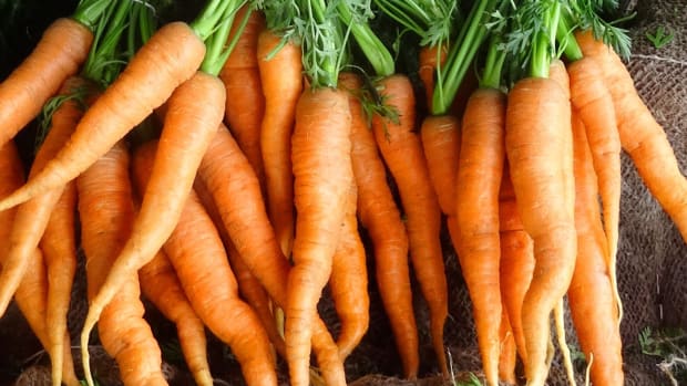 3 Carrot Top Recipes