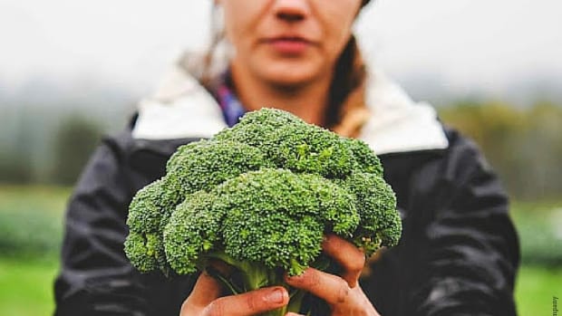 barnraiser broccoli farmer