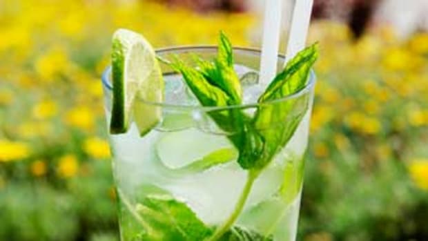 istock-spicy-ginger-mint-cocktail-Reduced