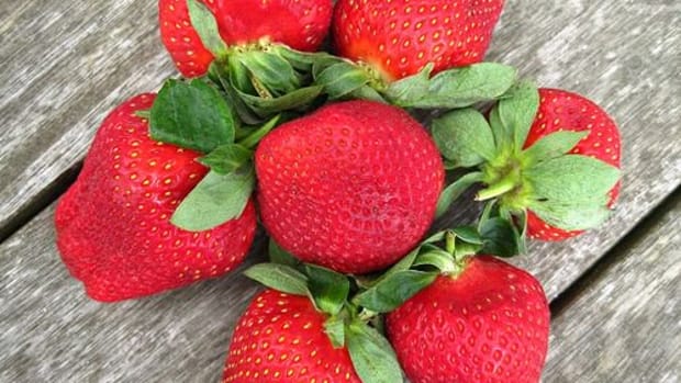 strawberries-ccflcr-kiwinz