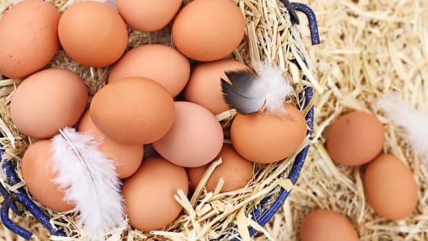 Did Your 'Certified Organic' Eggs Come From an Industrial Farm?