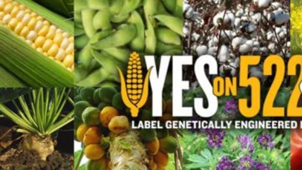 yes-on-522-gmo-labeling