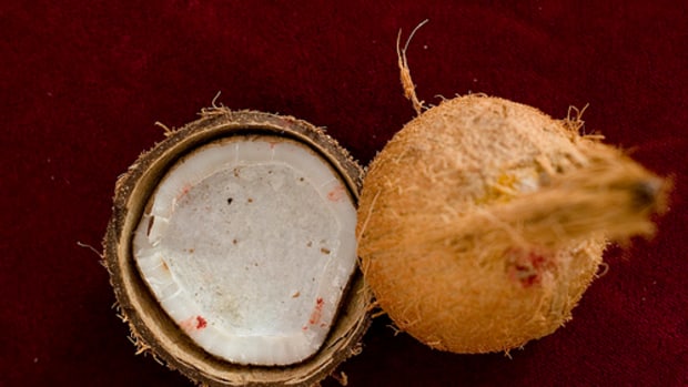 healthy coconut palm sugar
