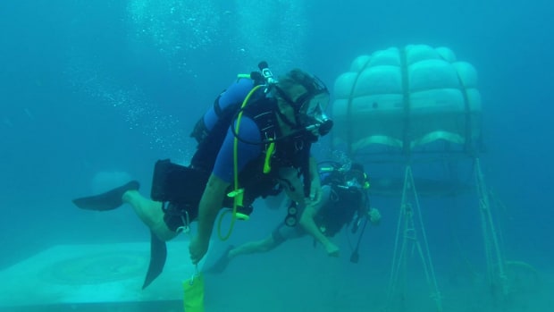 Underwater Greenhouses Grow Gorgeous Pesticide-Free Food