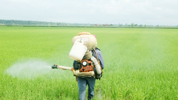EPA Announces Tougher Rules to Protect Farm Workers from Pesticide Poisoning