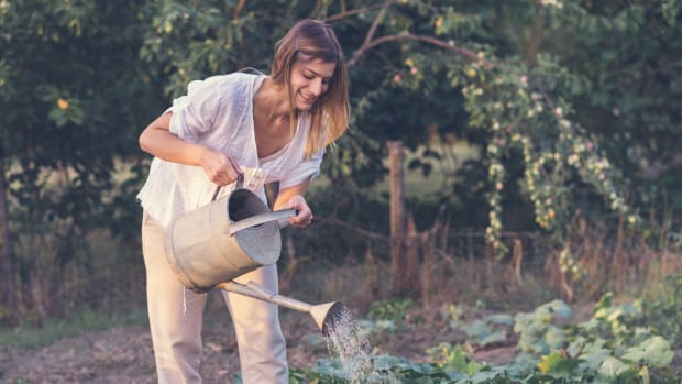 Is Gardening the New Prozac?
