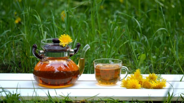 Dandelion Root Tea (What You Need to Know)