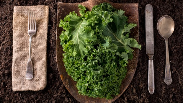 Kale on Shovel Natural Industry