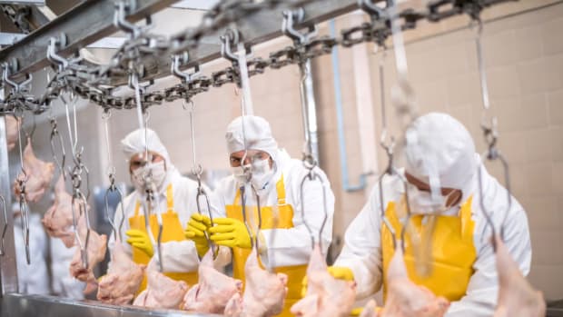National Chicken Council Lobbies for Deregulation of Poultry Processing Speeds