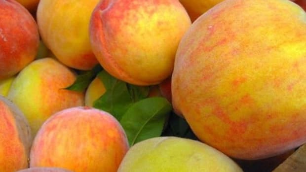 peaches-adactio