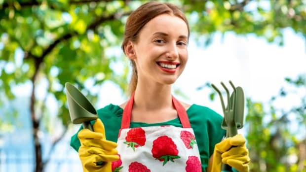 Gardening for Beginners: 10 Questions Every Absolute Beginner Has
