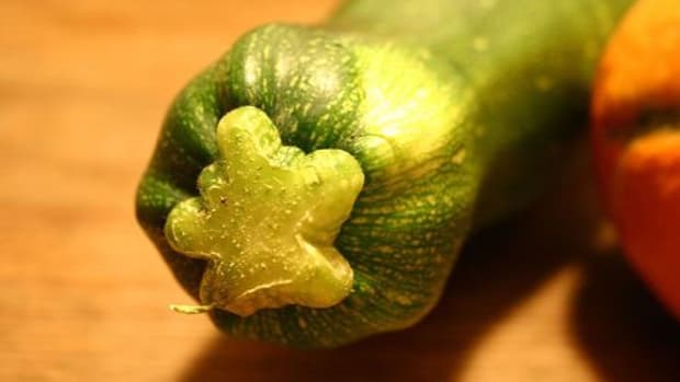 zucchini-ccflcr-tilwe