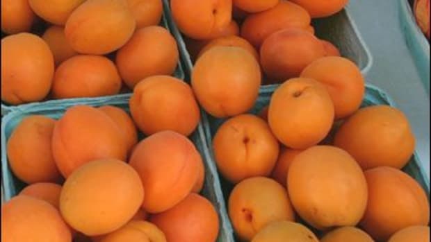 apricots-ccflcr-lagrandefarmersmarket