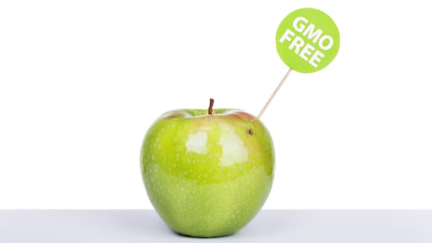 Are GMO Labeling Laws the Antithesis of Affordable Food? This Coalition Wants You to Think So
