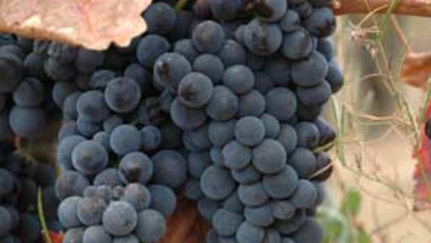 organic-grapes1