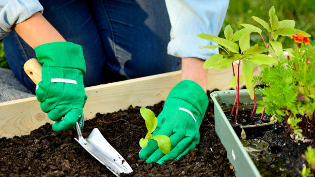 11 Organic Gardening Ideas to Make DIY Gardening a Snap