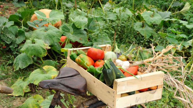 Fleet Farming puts the "green" in vegetable delivery.