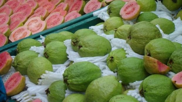guava-for-diabetes-ccfl-greggman