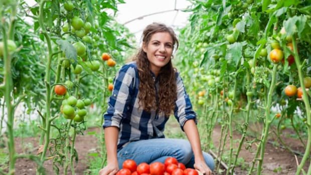 So You Want to Be a Farmer: Consider a Farm Apprenticeship