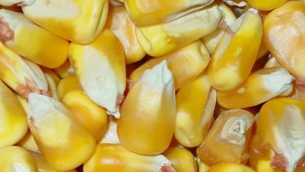 corn-ccflcr-alternativeheat