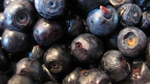 blueberries-ccrlcr-Marijn-de-Vries-Hoogerwerff