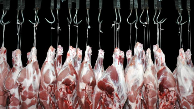 Factory Farming is a Global Public Health Crisis: Experts Plea to the World Health Organization