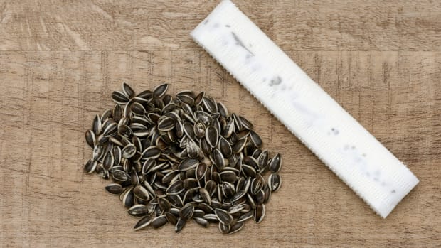 Seed tape DIY in 8 easy steps