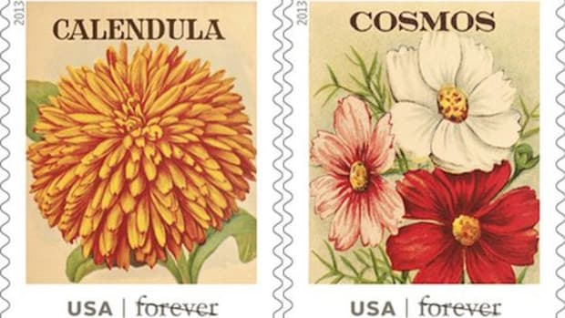 calendula-cosmos-stamps