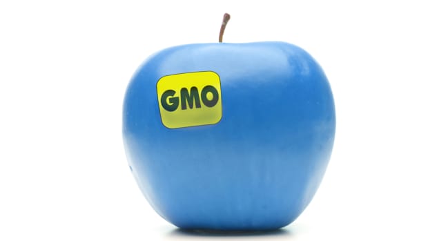 In Lieu of Labels, White House Moves to Update Regulatory Framework for GMOs