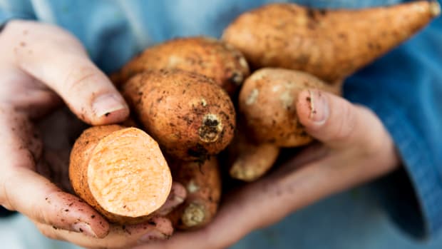 Organic Sweet Potato Sales Growing Like Weeds