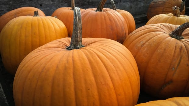 3 DIY Pumpkin Beauty Recipes for Glowing Skin and Hair