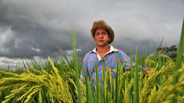 Bolivian farmer