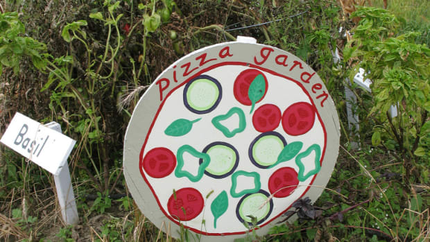 pizza garden