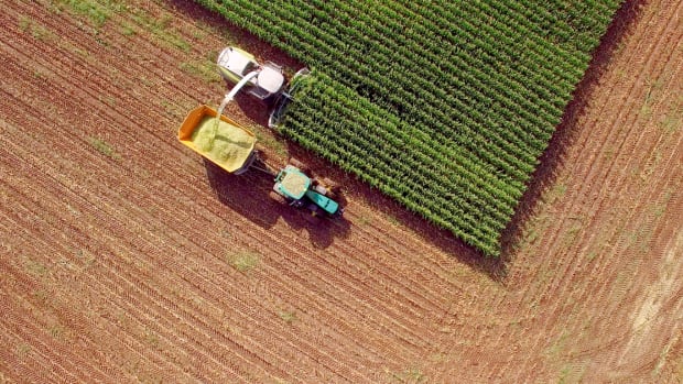 Organic Acreage Continues to Grow as Conventional Grain Prices Plummet