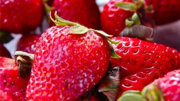 strawberries-jillslibrary-jillettinger1